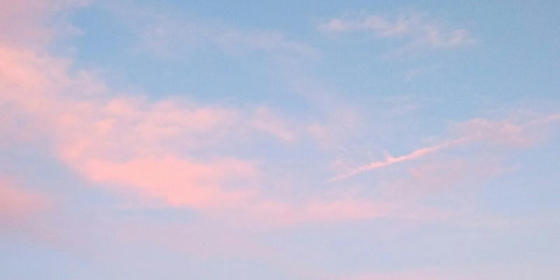 お客様の声3